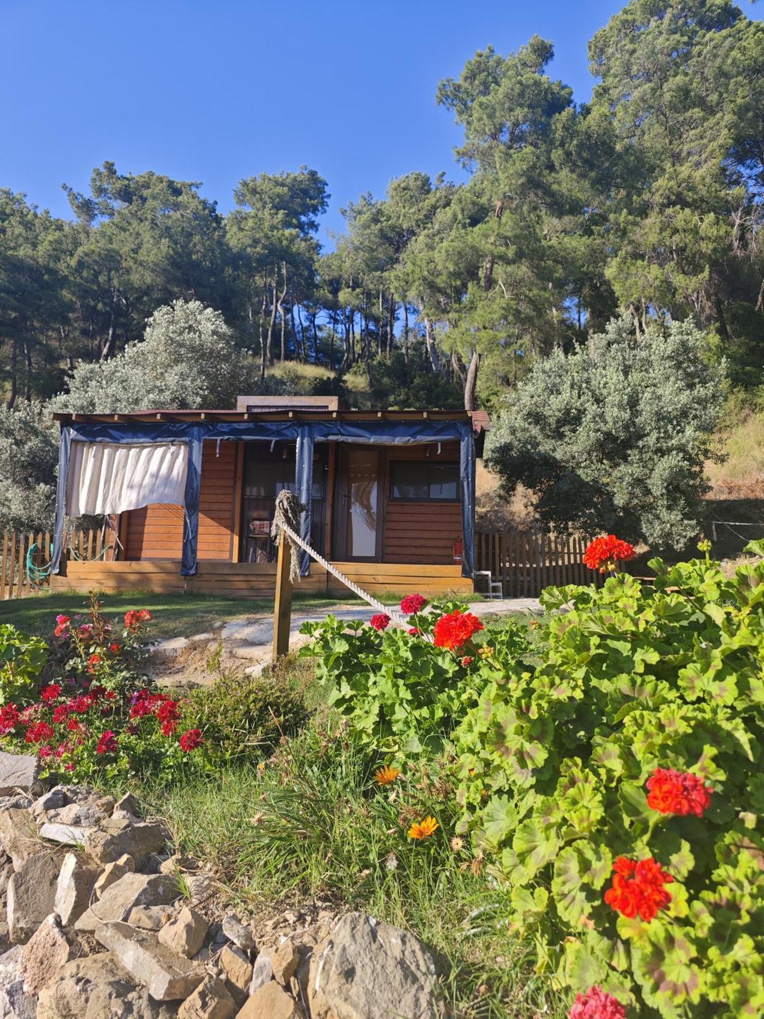 Tiny Mini House 호텔 달라만 외부 사진