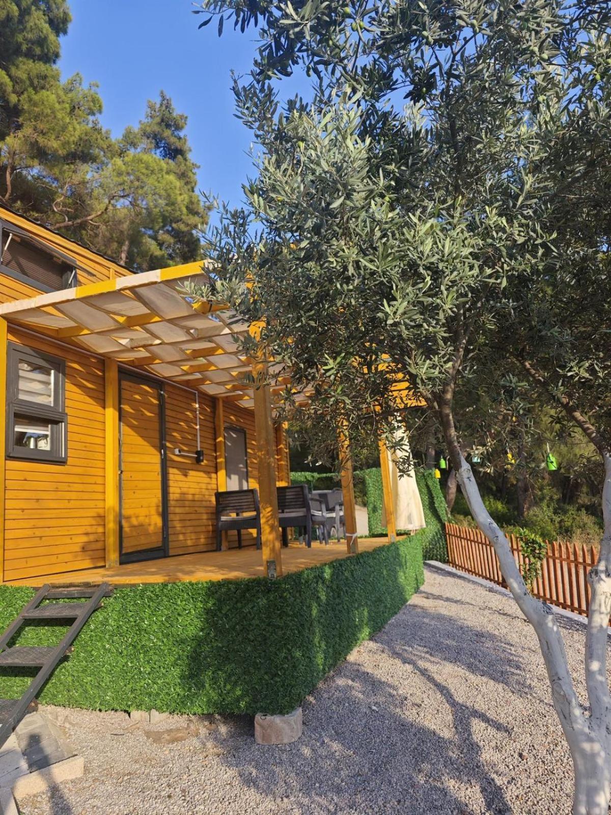 Tiny Mini House 호텔 달라만 외부 사진